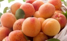 Страви з абрикосів – прості та смачні рецепти випічки з фото
