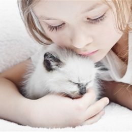 Животные и дети. Почему им нужно жить вместе