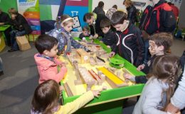 У Києві відбудеться семінар «Зцілення мистецтвом»