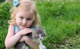 Ребенок и котенок. Что важно учитывать, приобретая домашнего питомца