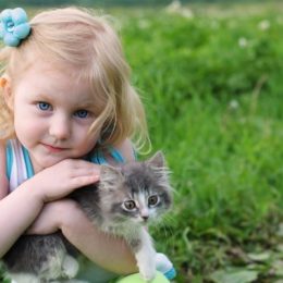 Ребенок и котенок. Что важно учитывать, приобретая домашнего питомца