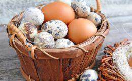 Перепелиное мясо и яйца в рационе ребенка