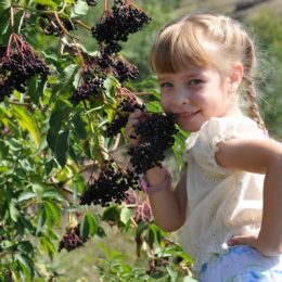 «Дитячий белькіт» — кумедні висловлювання Катюші Куликової з м. Торез