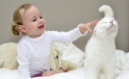 10 фильмов про животных для детей