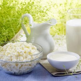 Домашние молочные продукты. Рецепты