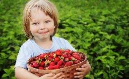Клубника и черешня — рецепты оригинальных летних блюд для детей