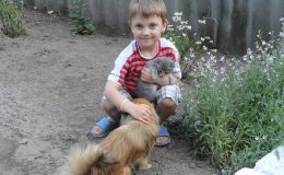 Дитячий лепет – смішні висловлювання дітей