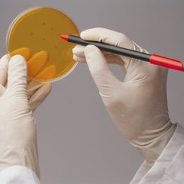 Вагітність: які аналізи крові потрібно здати