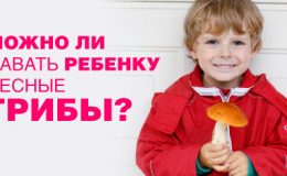 Можно ли давать ребенку лесные грибы?