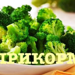 З яких овочів можна починати прикорм, а з якими варто відкласти знайомство