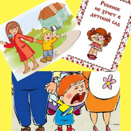 Несадовские дети, кто они? И почему так важна пищевая адаптация