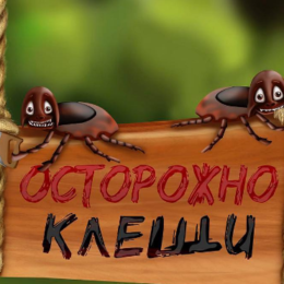 Як захиститися від кліщів: правила безпечної прогулянки