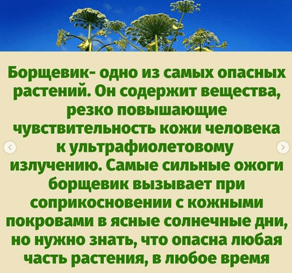 Источник: instagram@doc_yaroslava