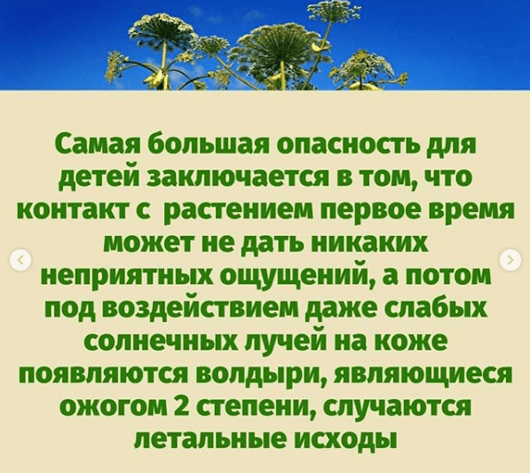 Источник: instagram@doc_yaroslava