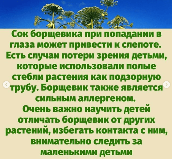 Источник: instagram@ doc_yaroslava