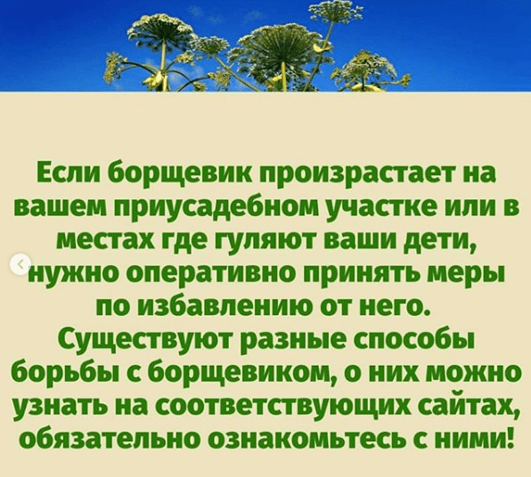 Источник: instagram@doc_yaroslava