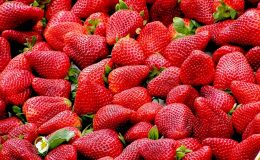 Почему женщинам нужно есть клубнику: 5 незаменимых свойств ягоды