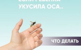 Ребенка ужалила оса или пчела: первая помощь