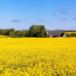 День Независимости Украины 2016