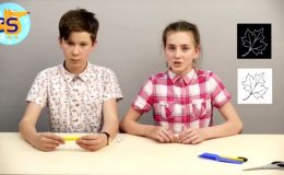 Як зробити гарні штампи для щоденника і не лише. Відео Cool School
