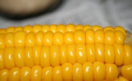 8 незаменимых свойств вареной кукурузы
