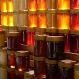 Де придбати мед, та як правильно вибрати цей цінний продукт