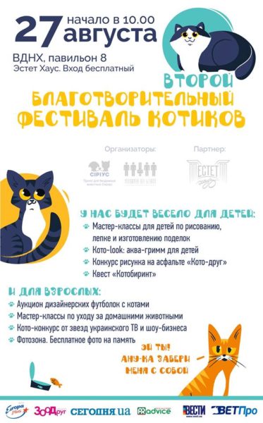 Фестиваль котиков