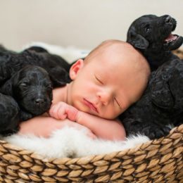 Фотосесія новонародженого з маленькими собаками зворушила мережу