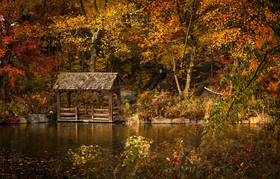 Встречаем осень