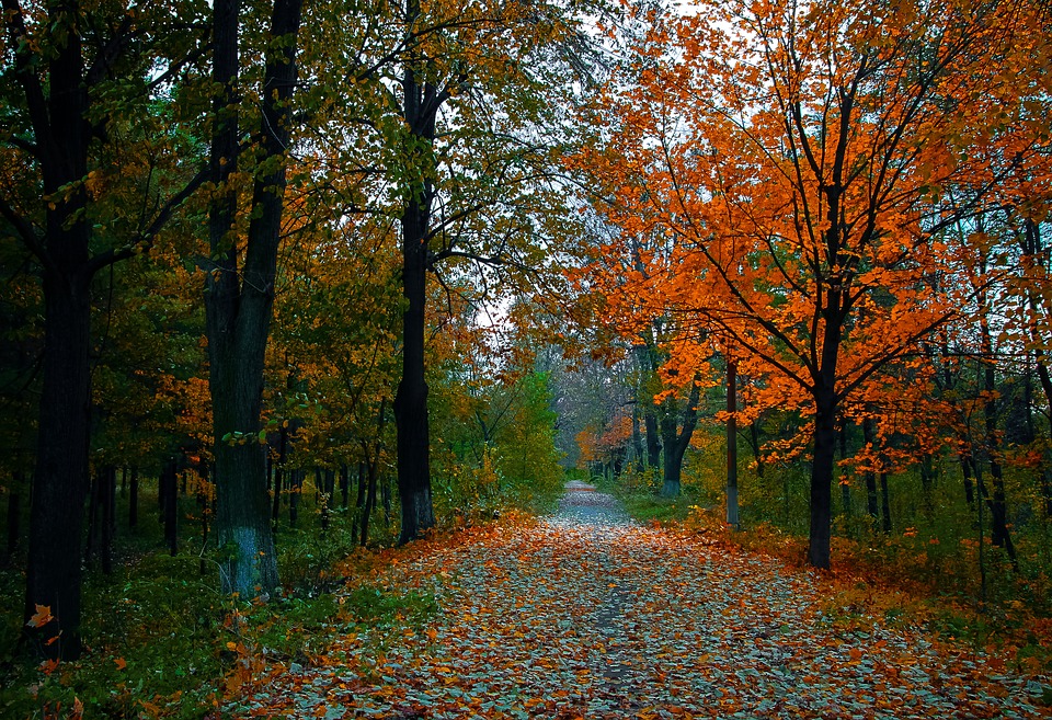 Встречаем осень