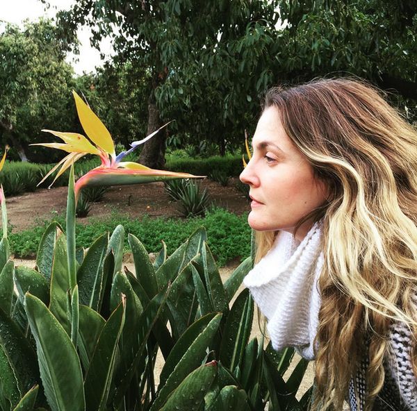 instagram @drewbarrymore