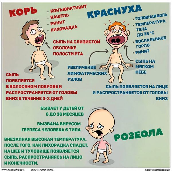 Корь краснуха розеола