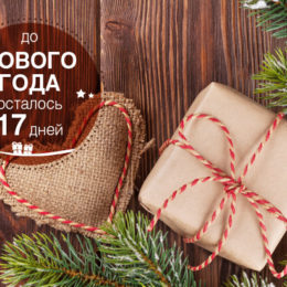 Новогодний декор из сушеных цитрусовых: 10 идей для мамы и ребенка