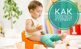 Как приучить ребенка к горшку: 9 советов психолога