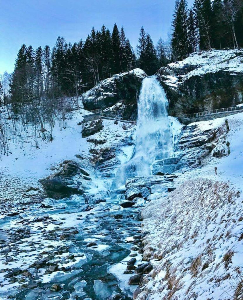 Алена Гончар