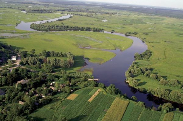  село Мезин