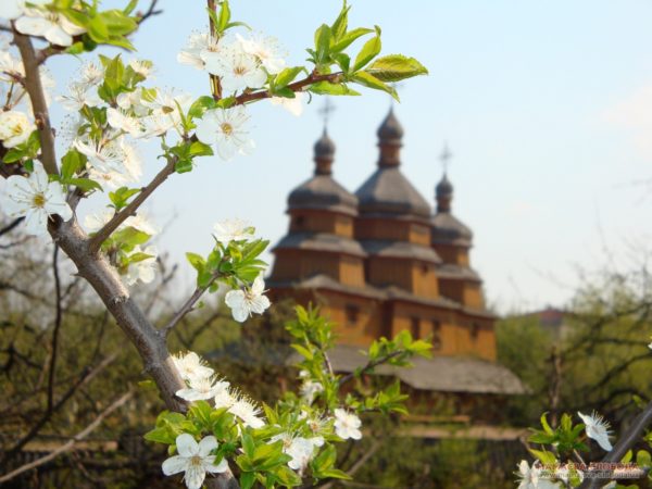 афиша мамаева слобода