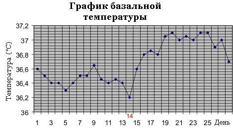 график базальной температуры - таблица