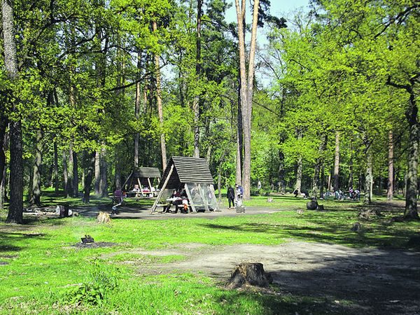 где в киеве пожарить шашлык, зоны для пикника в киеве