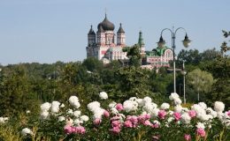 День Конституции 2017: куда пойти в Киеве