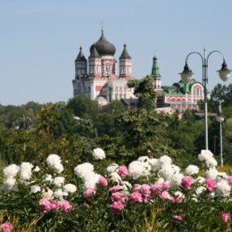 День Конституции 2017: куда пойти в Киеве