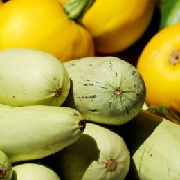 7 корисних властивостей кабачків, про які ви могли не знати