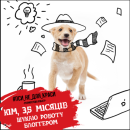 Щенки из Бородянки разместили резюме на портале с вакансиями