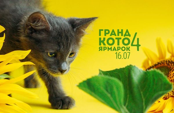 котоярмарка