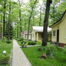 Куди поїхати на День Незалежності 2017 усією сім’єю