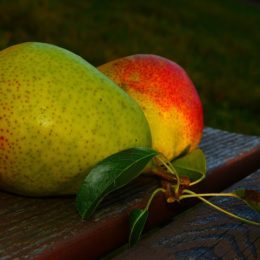 Удивительно вкусное варенье-сгущенка из груш: приготовьте — не пожалеете!
