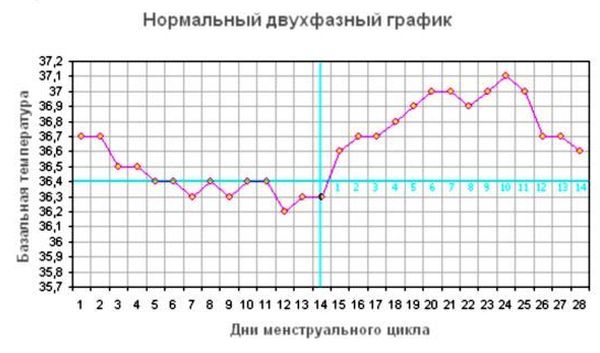 базальная температура график