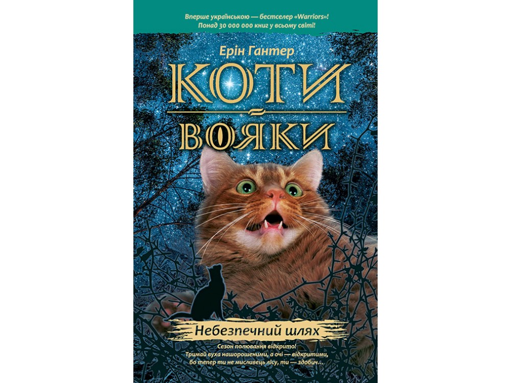 Источник: warriors.com.ua