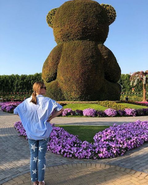 Источник: instagram @kosadcha