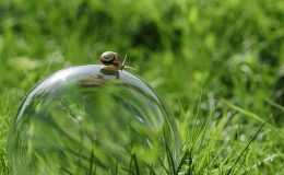 Улиткотерапия сделает вас на 10 лет моложе: все о необычной процедуре омоложения
